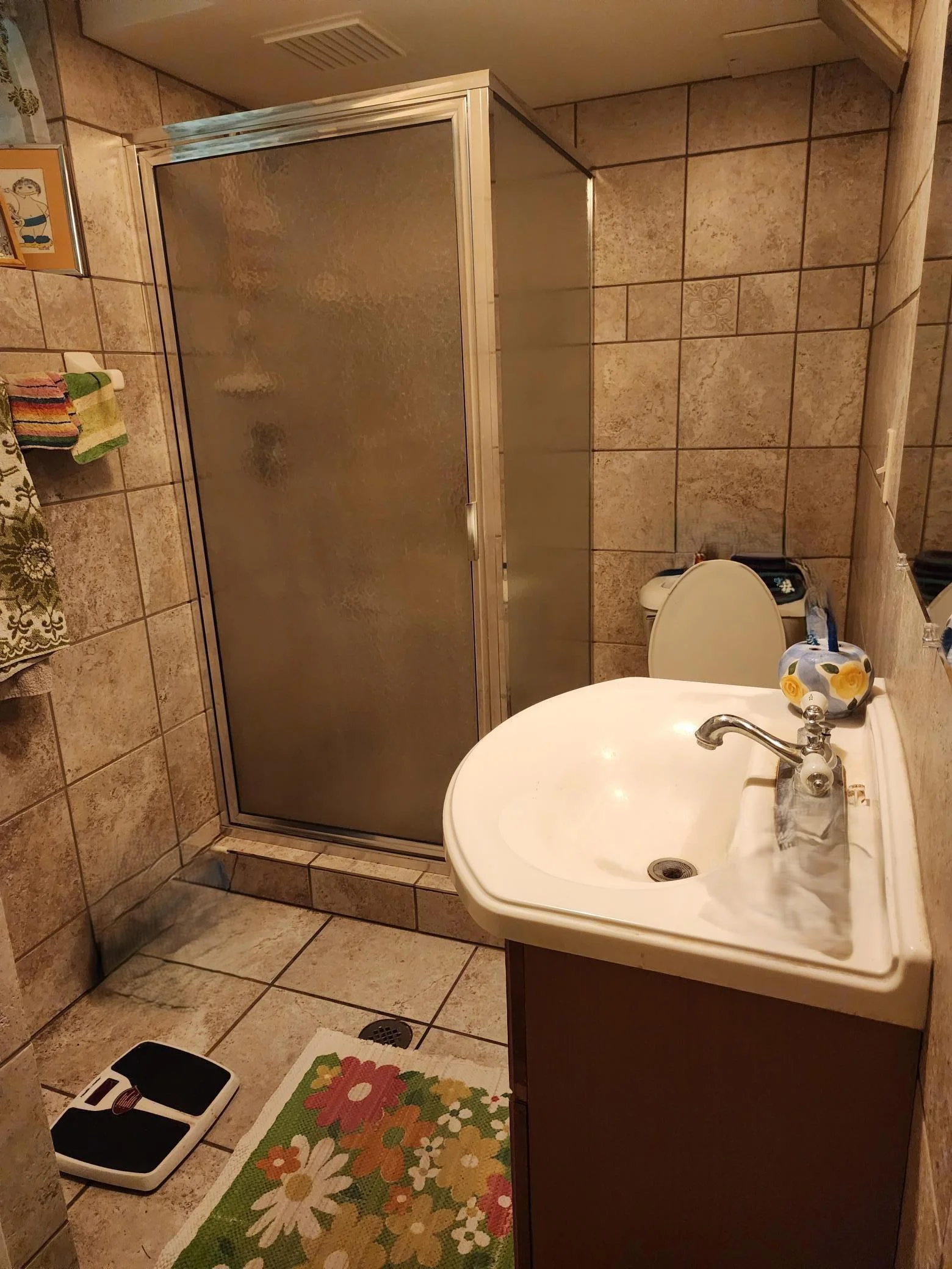 lower level Bath with shower.jpg