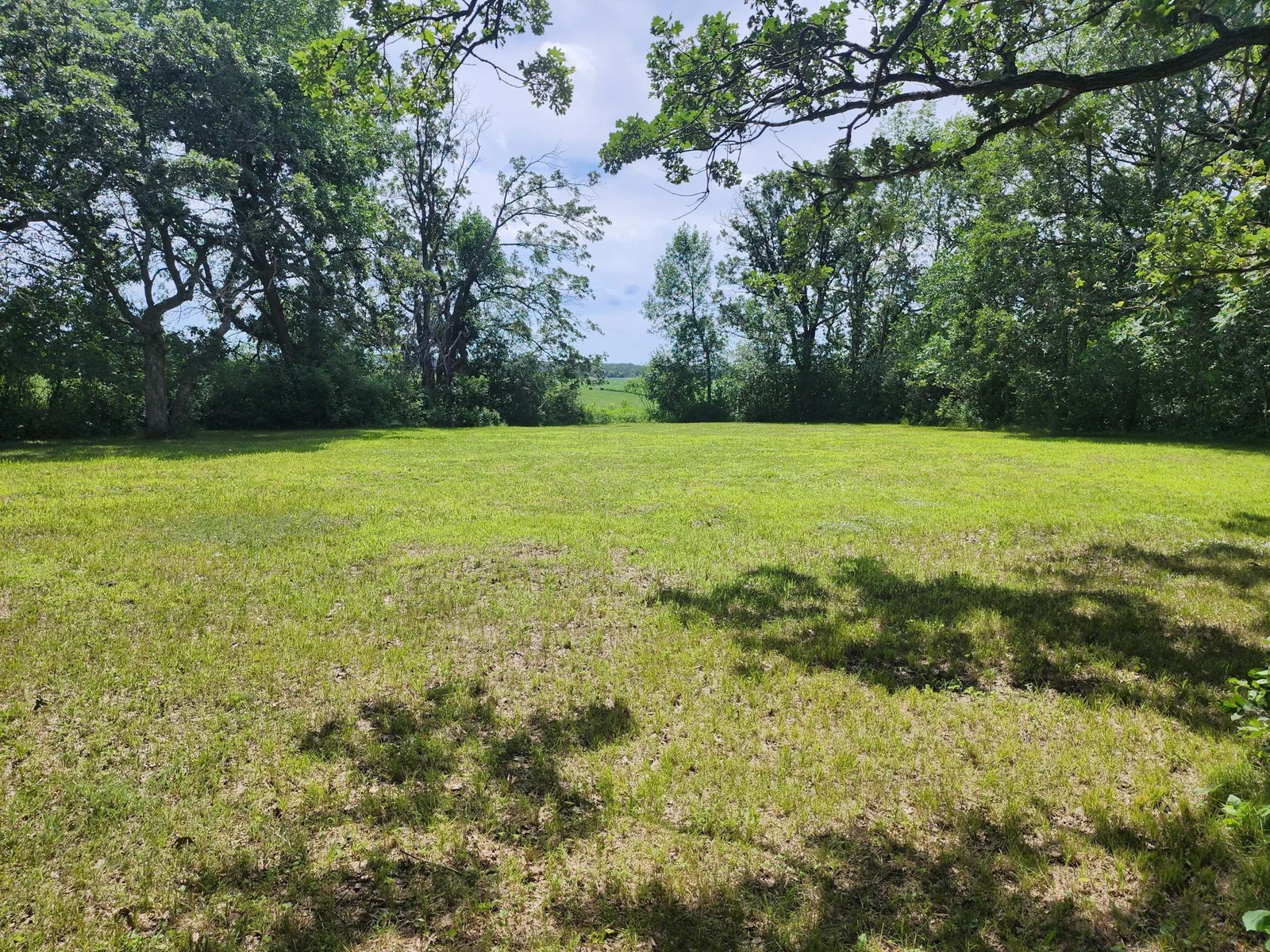 Yard (5).jpg