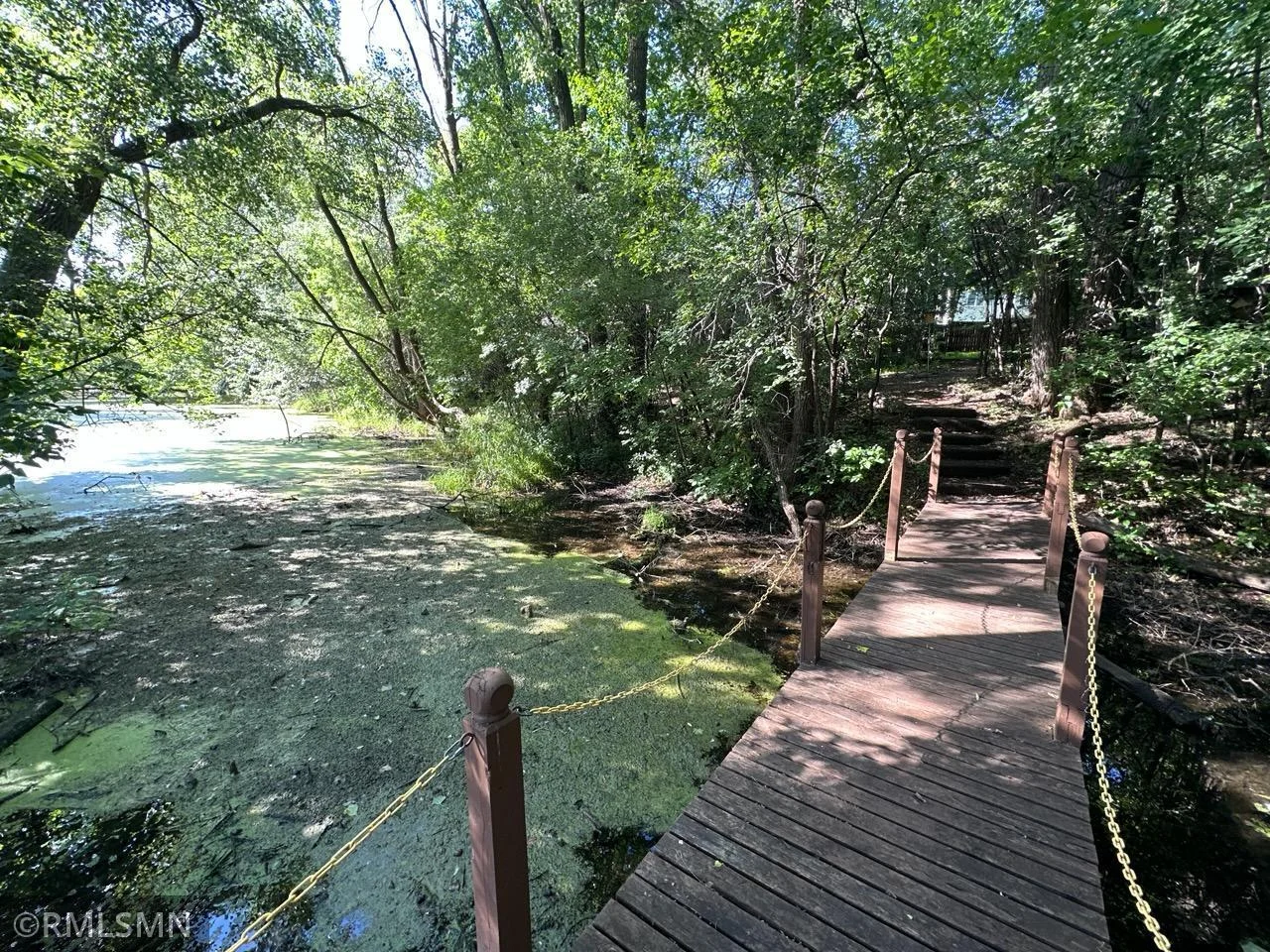 Bridge.jpg