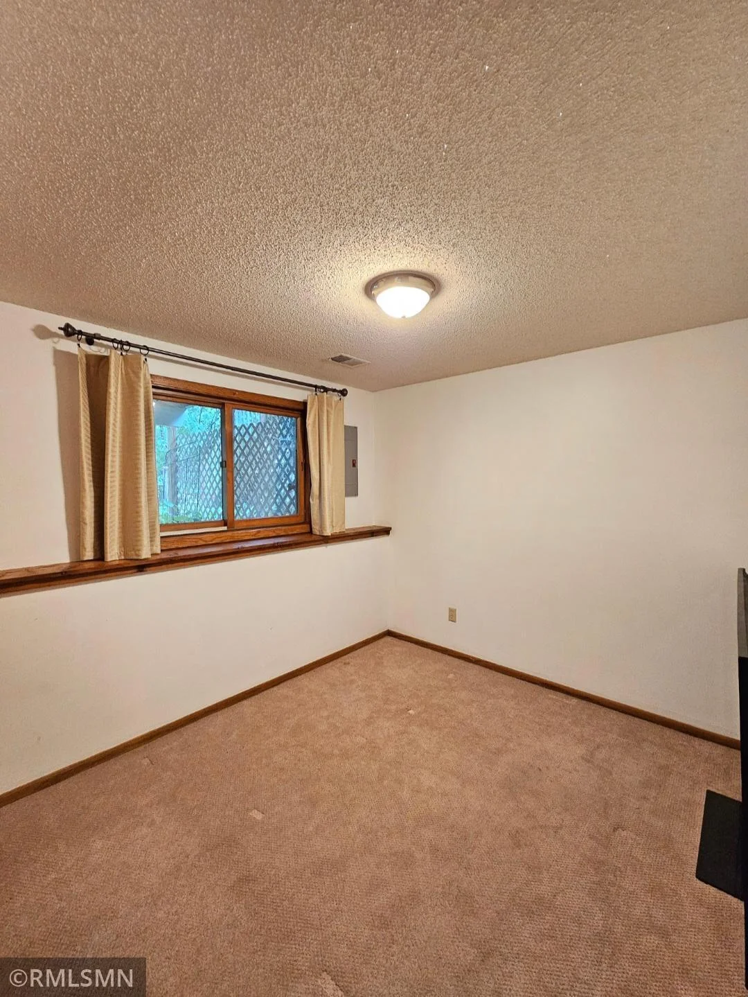 Lower Level Bedroom 2.jpg