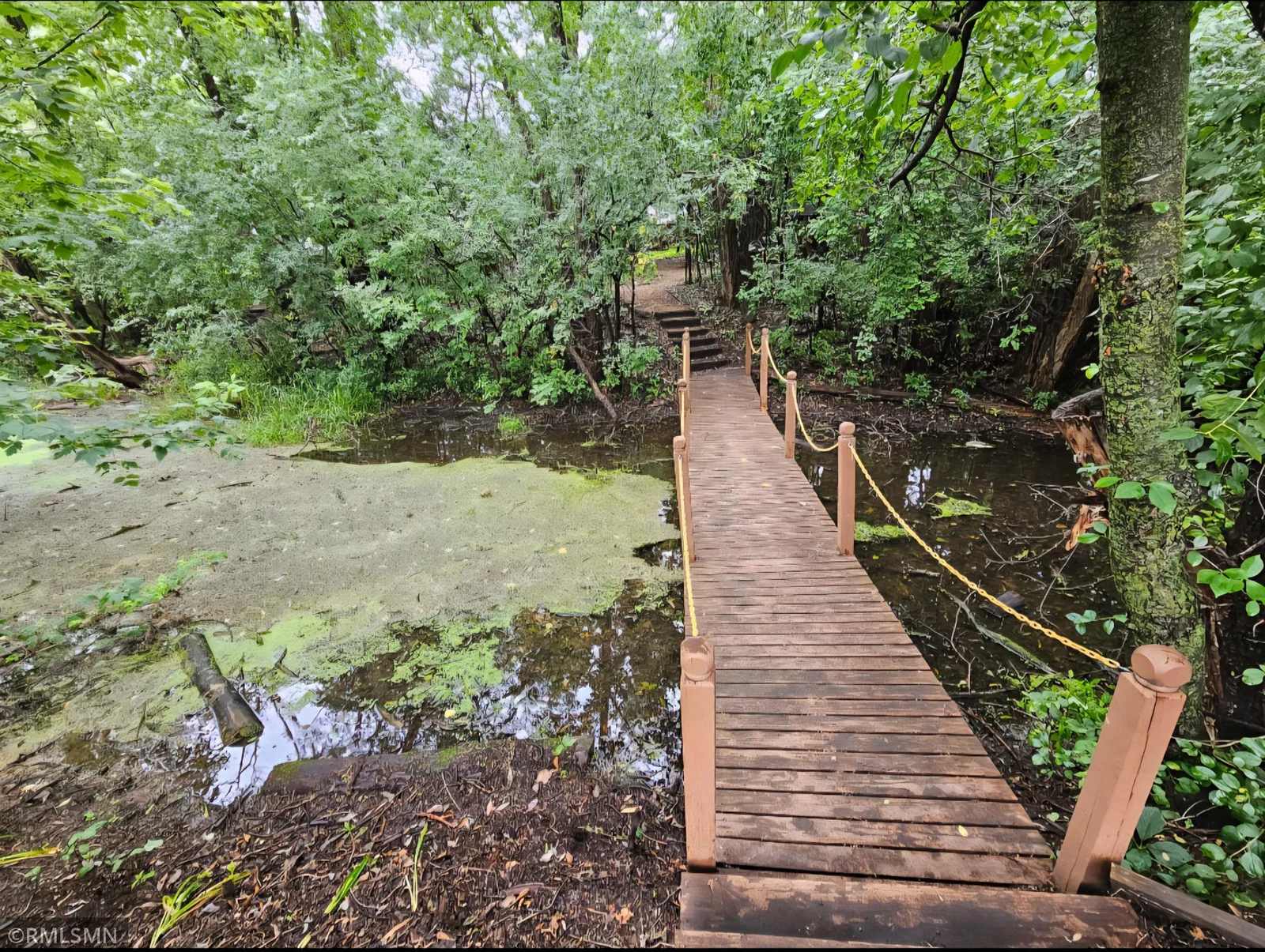 Bridge.jpg