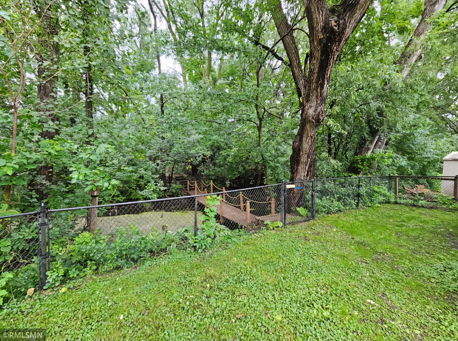 Back Yard.jpg