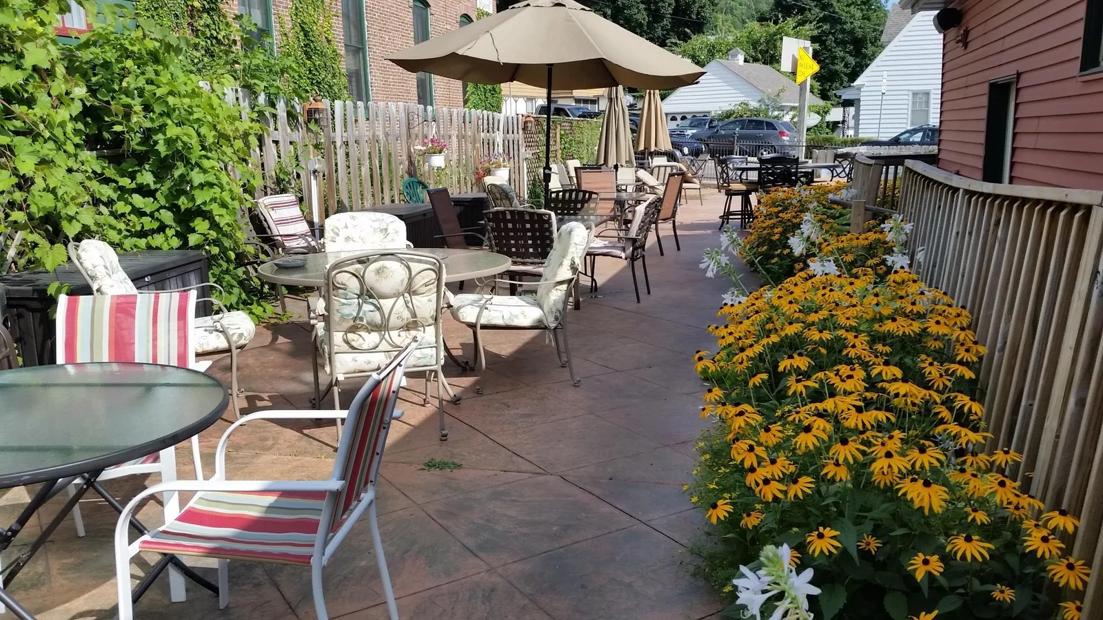 Frog Patio