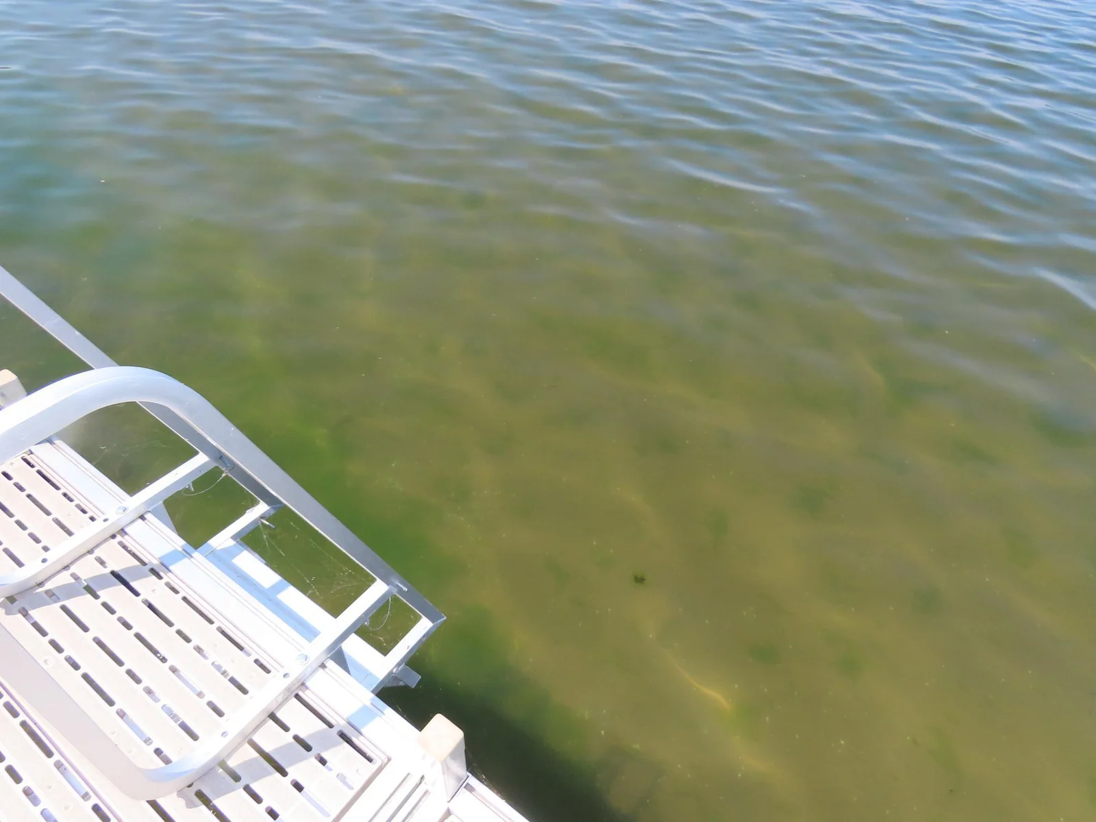 Perfect spot for swimming