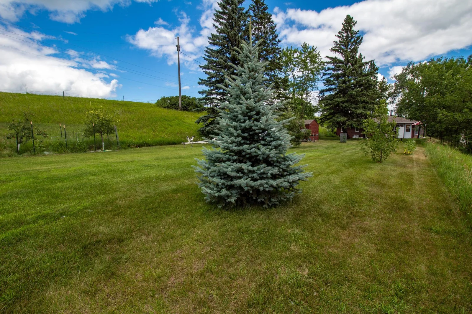 40414 Cliff Rd, Clitherall (16).jpg