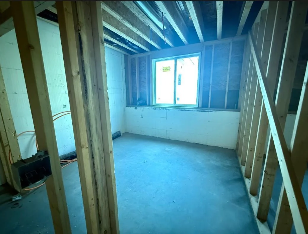 Lower level flex room