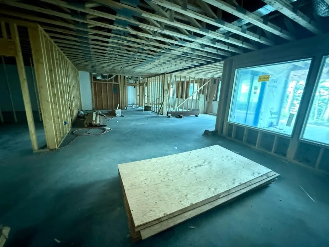 Lower level family room
