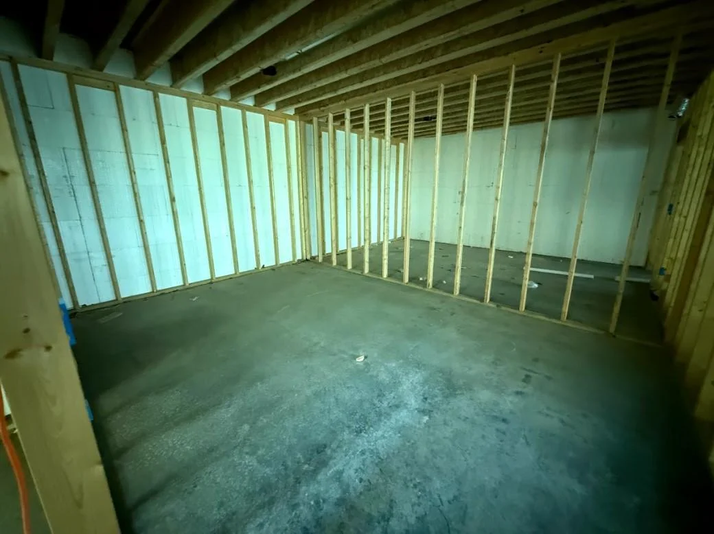 Lower level theatre room