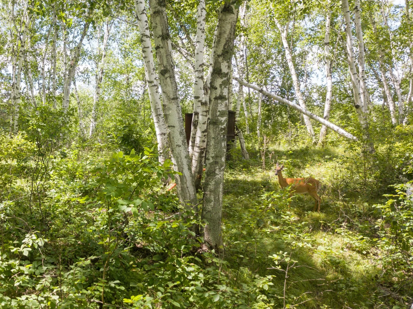 lightroom-10.jpg