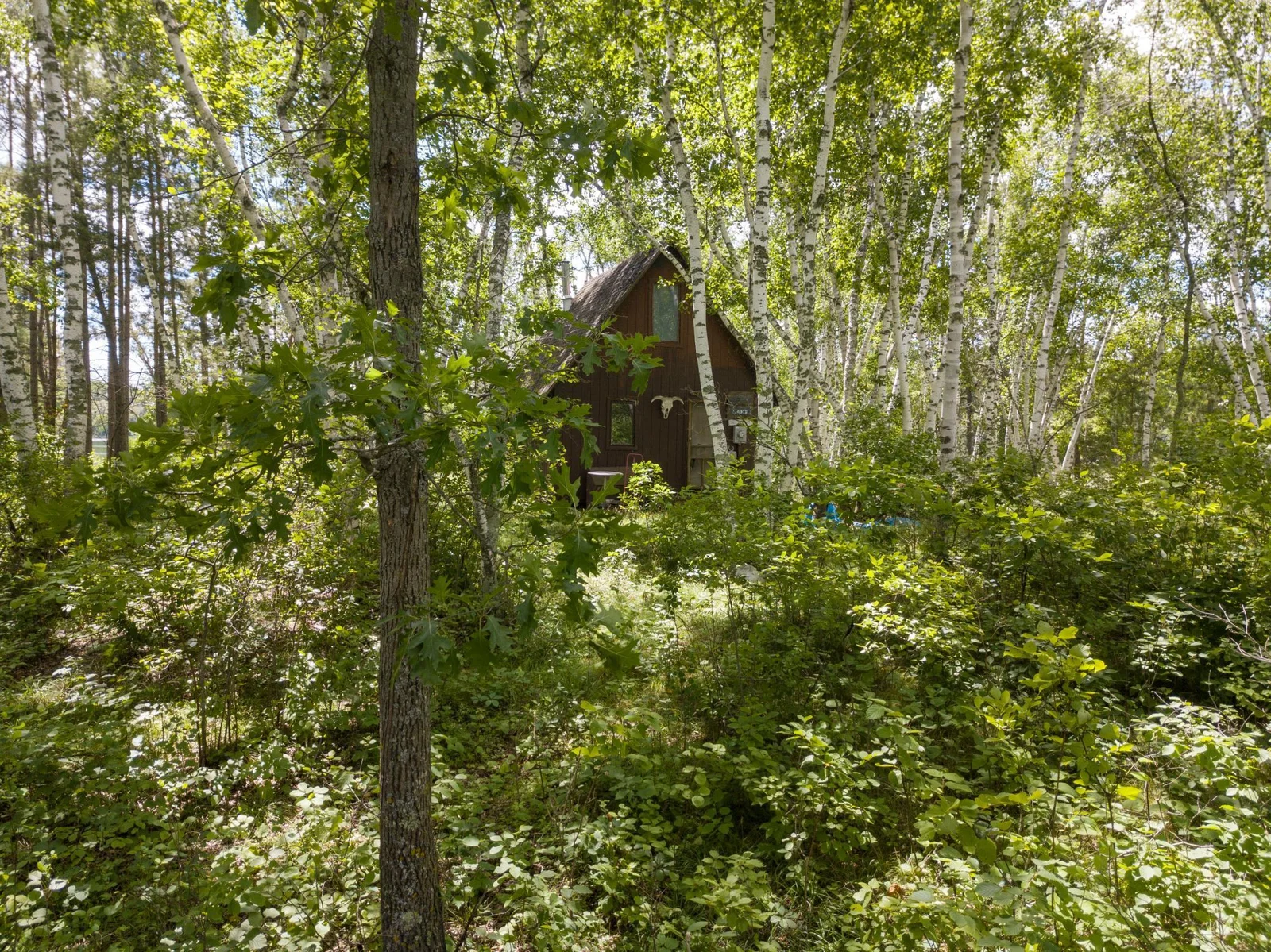 lightroom-11.jpg