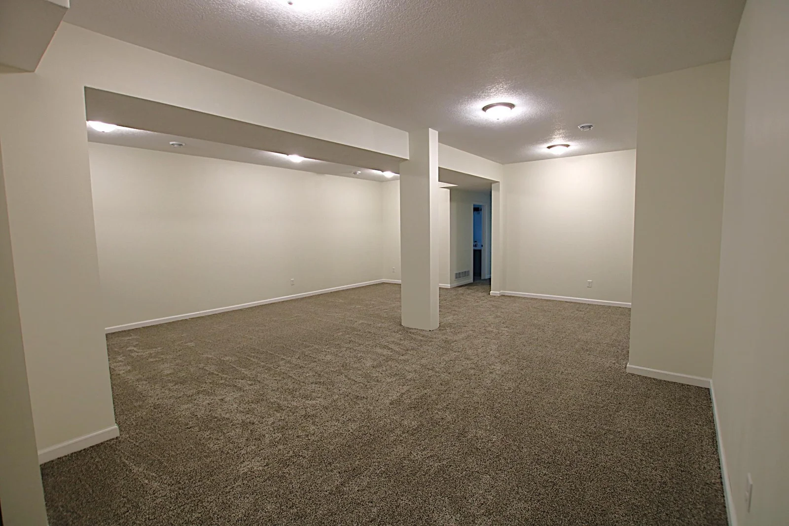 22 x 24 Family Room in Lower Level