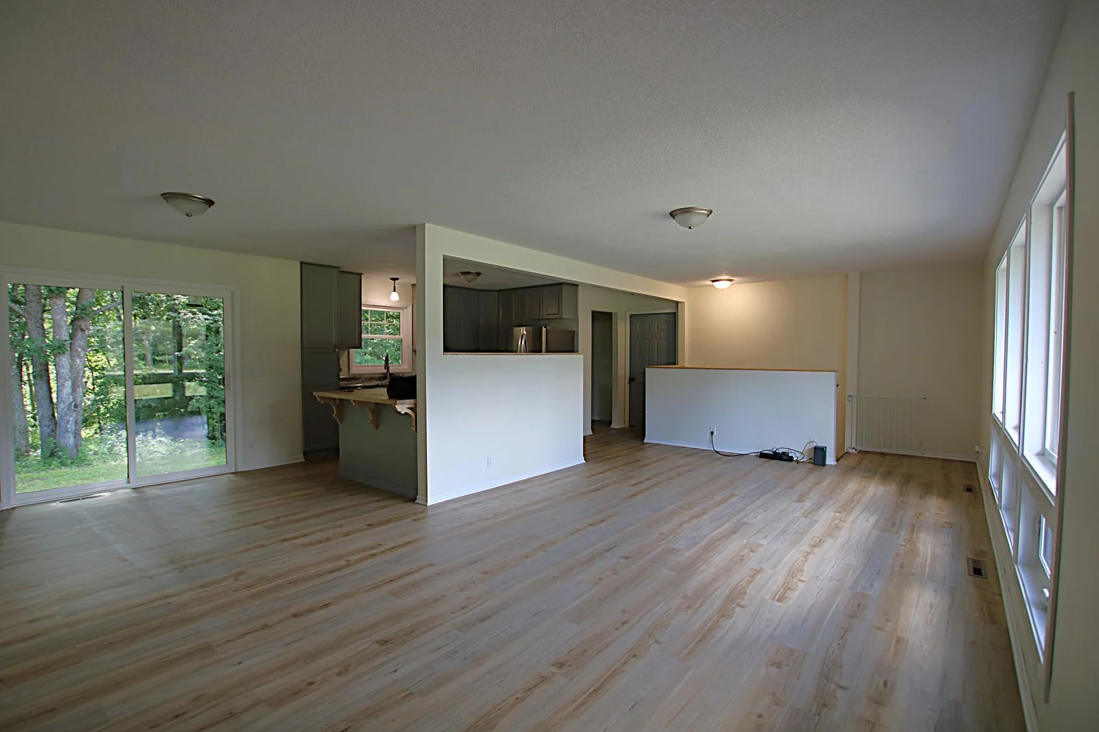 Open living room and dining room area.