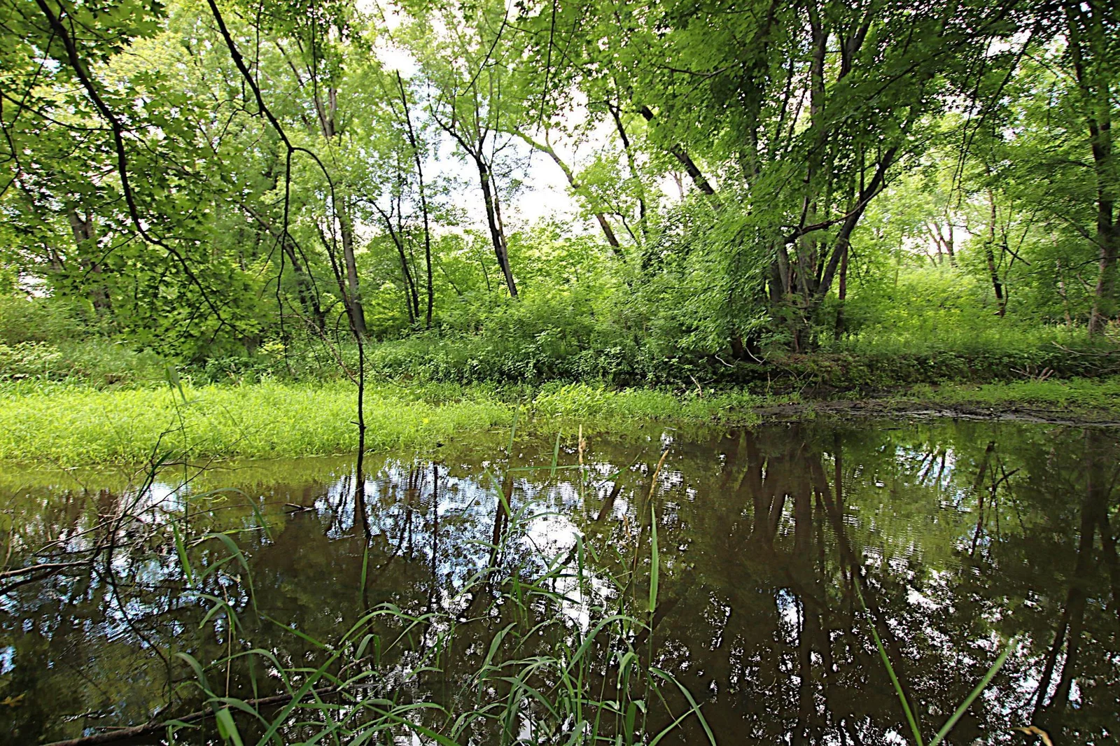 Crow Wing River 235 Feet Frontage