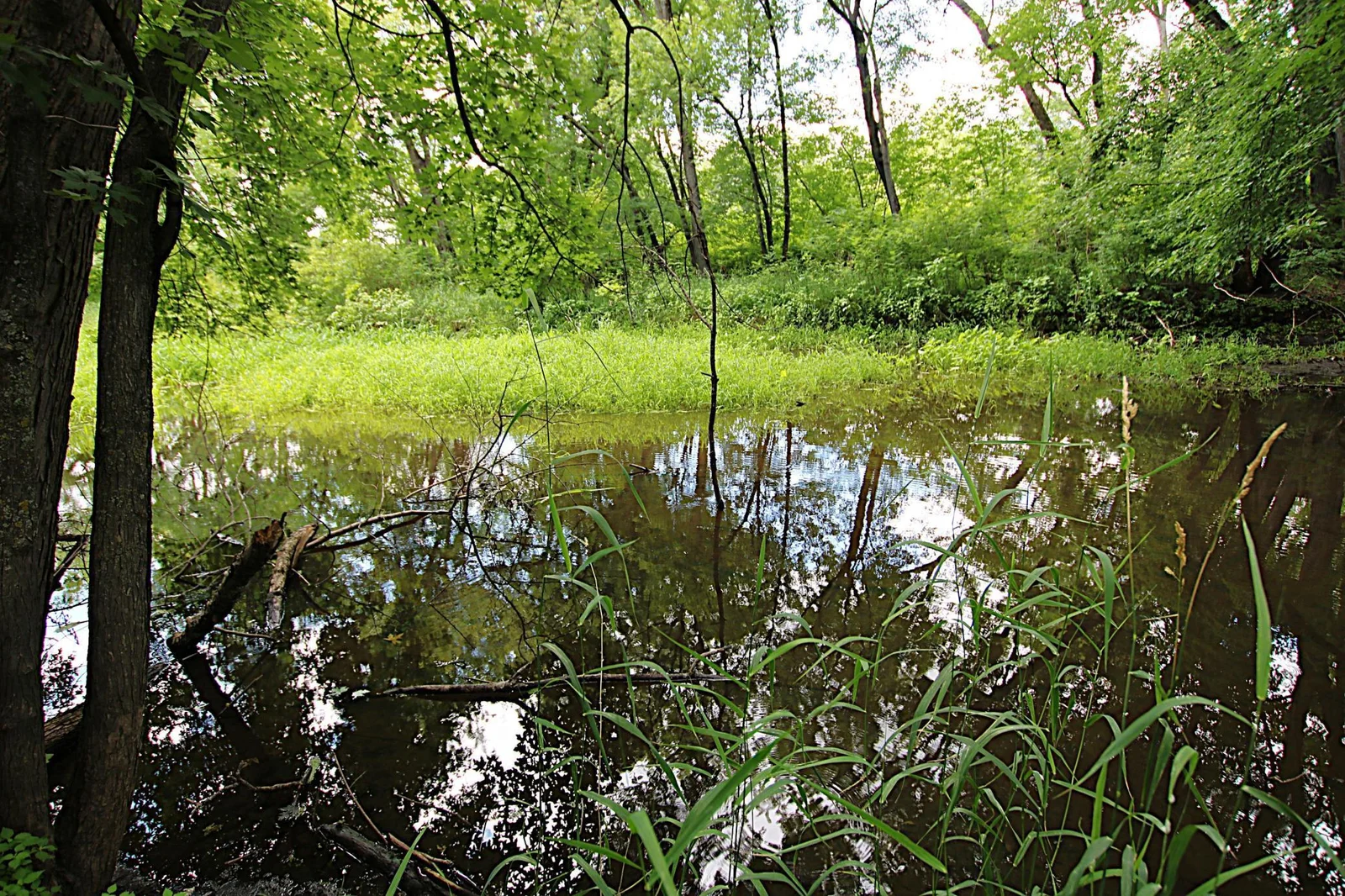 Crow Wing River
