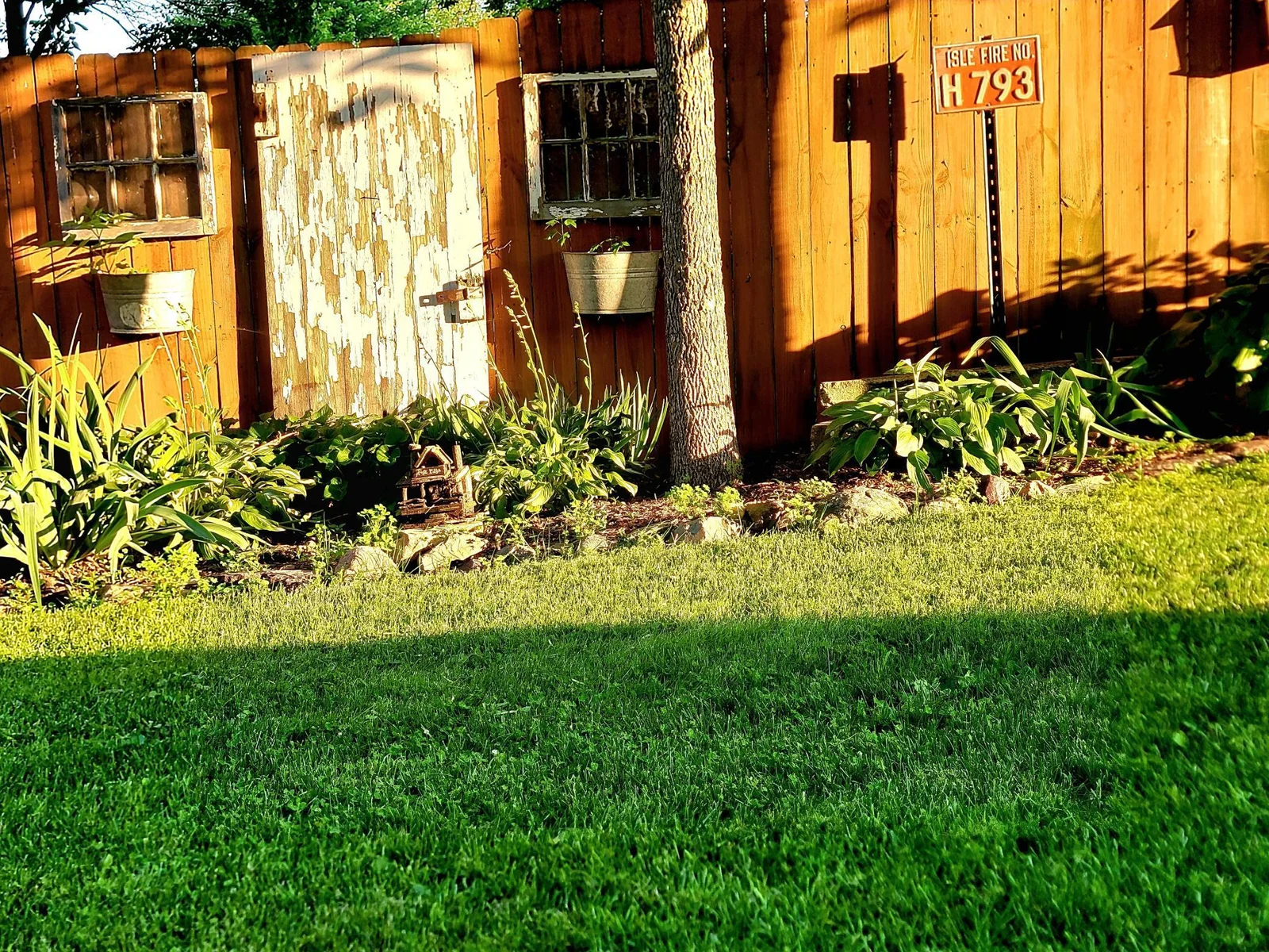 perennials & annuals galore