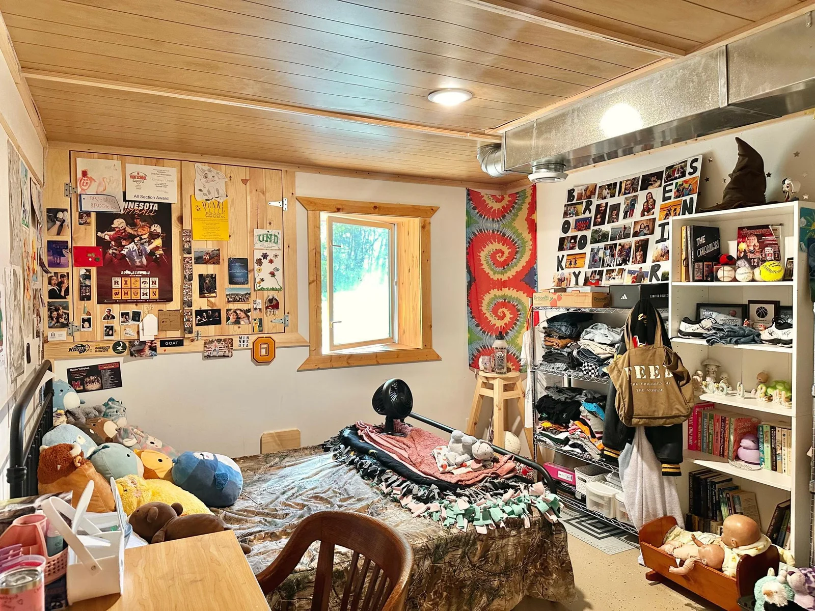 Lower level bedroom