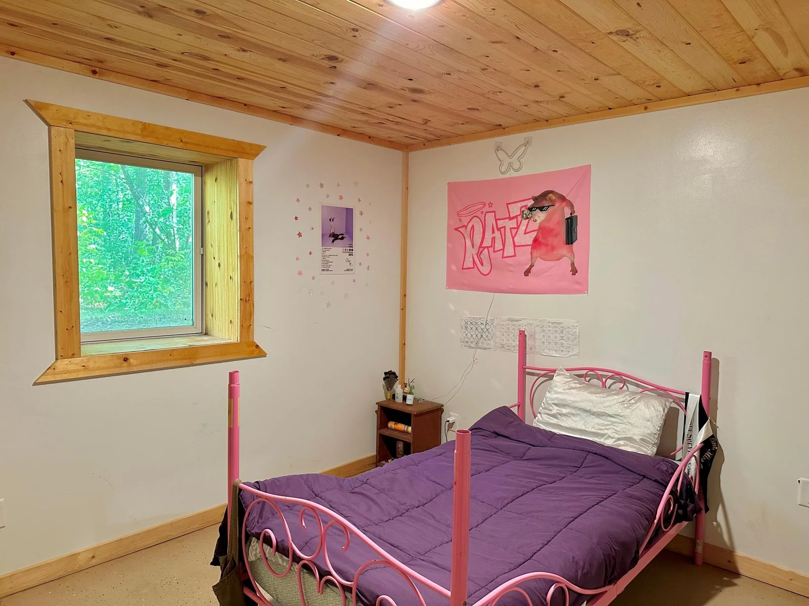 Lower level bedroom.