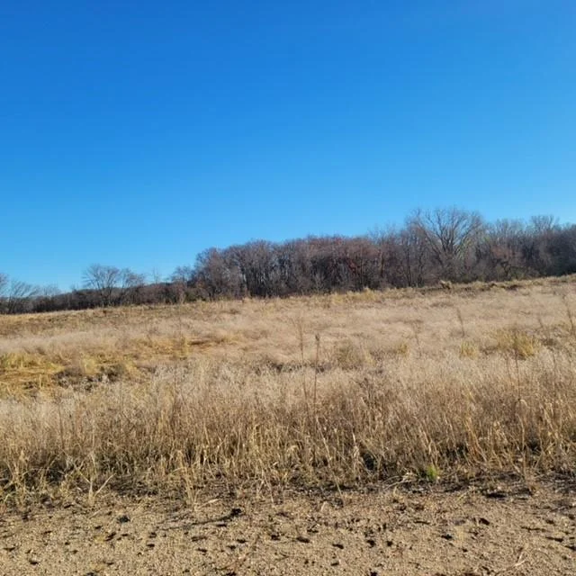 Lot 8 on Star Lake.jpg