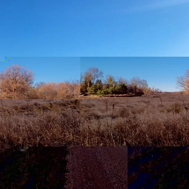 Lot 8 (2nd pic) on Star Lake.jpg