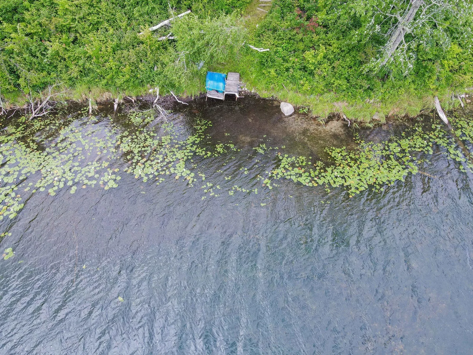 Sandy clear shoreline needs your attention