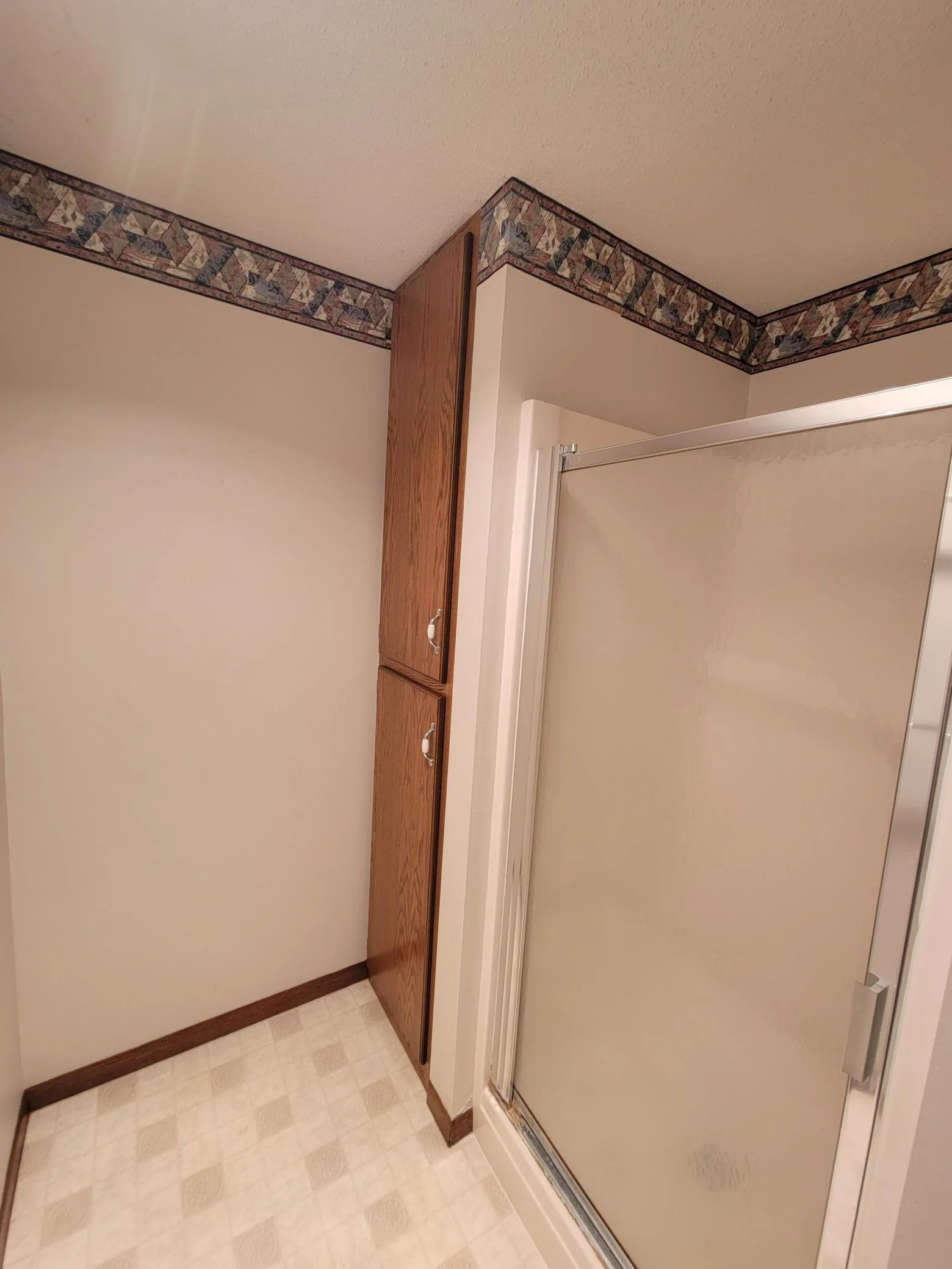 shower lower level bath