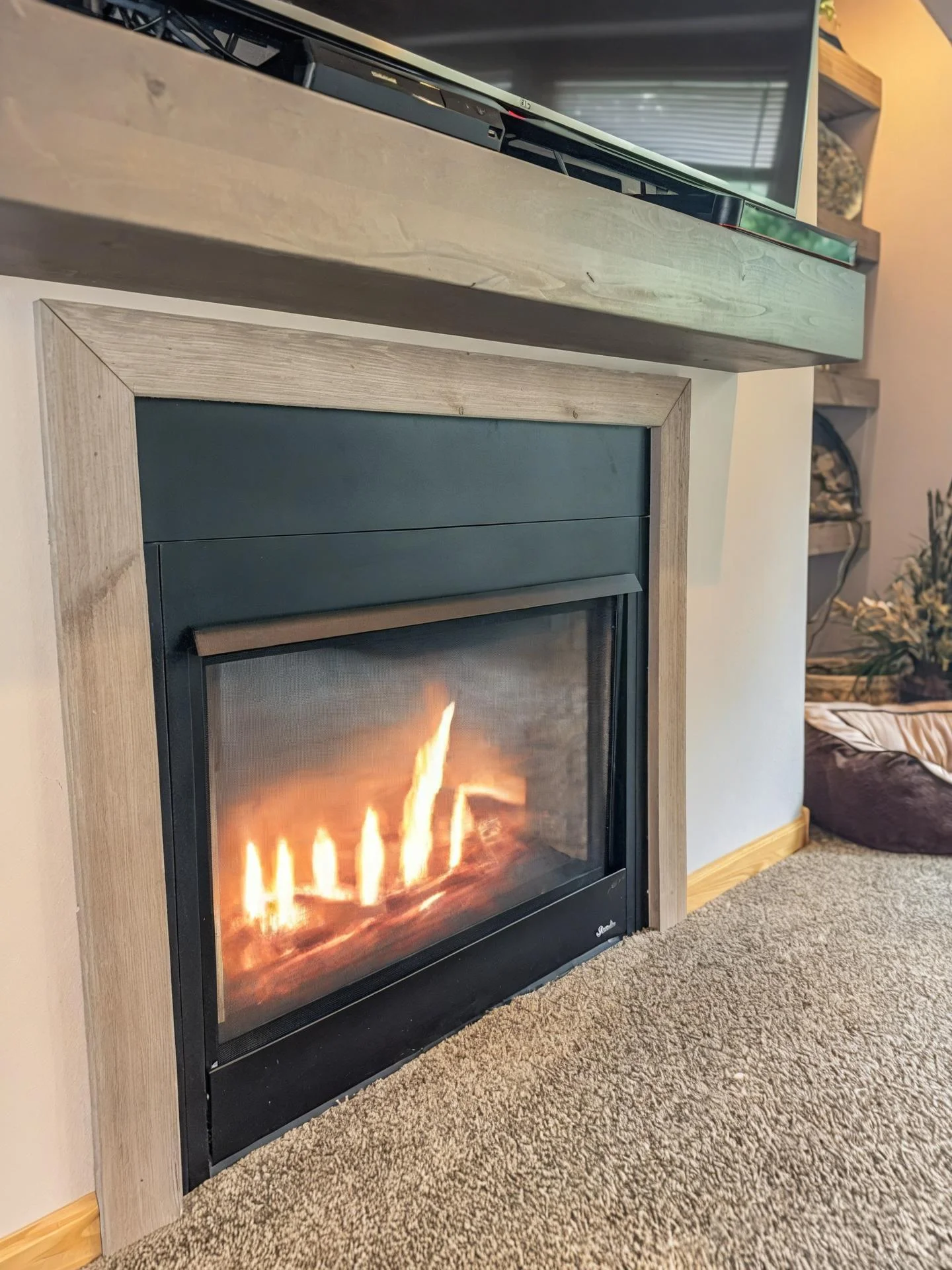 Living Room Fireplace.jpeg