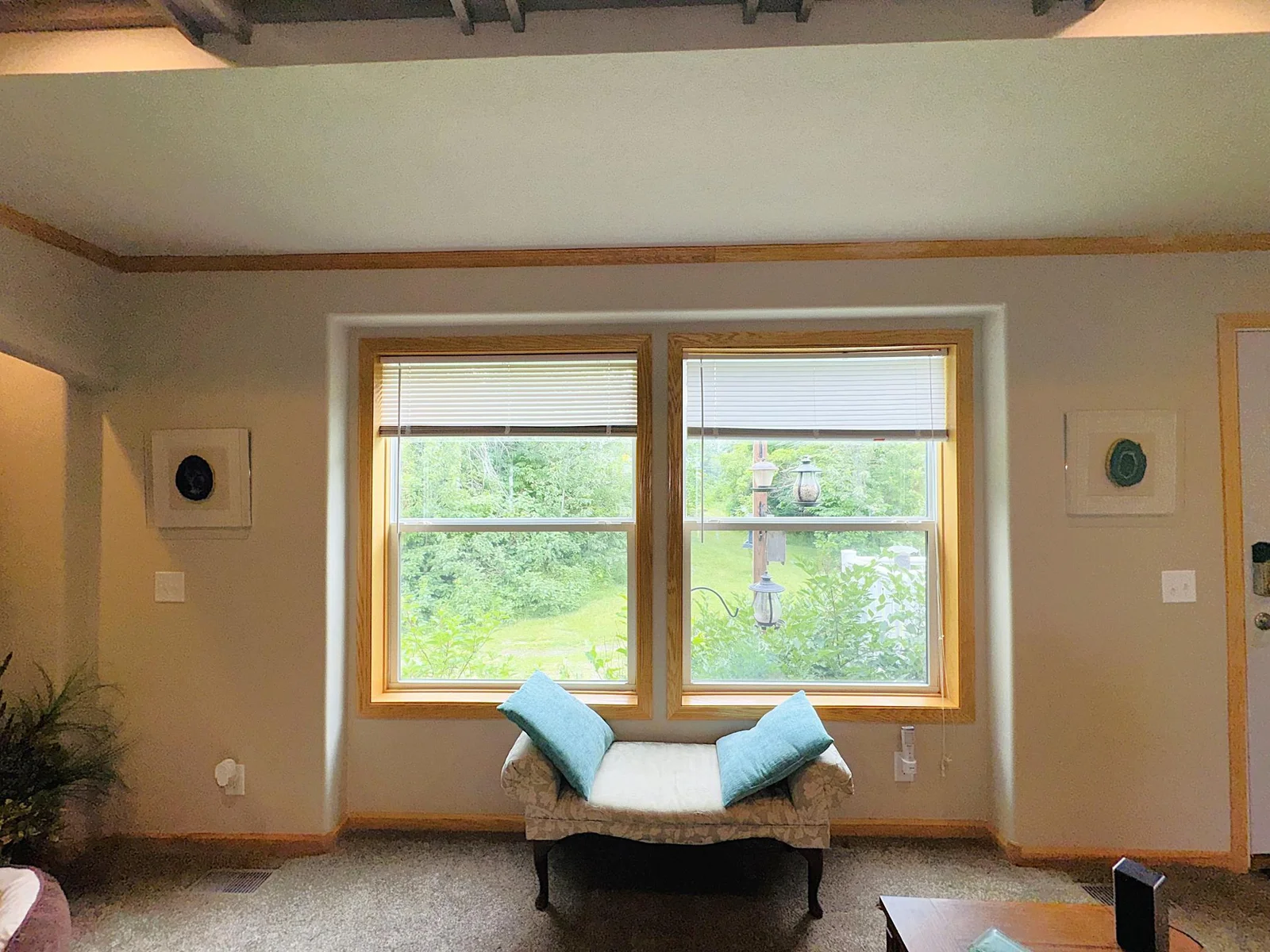 Family Room Window.JPG