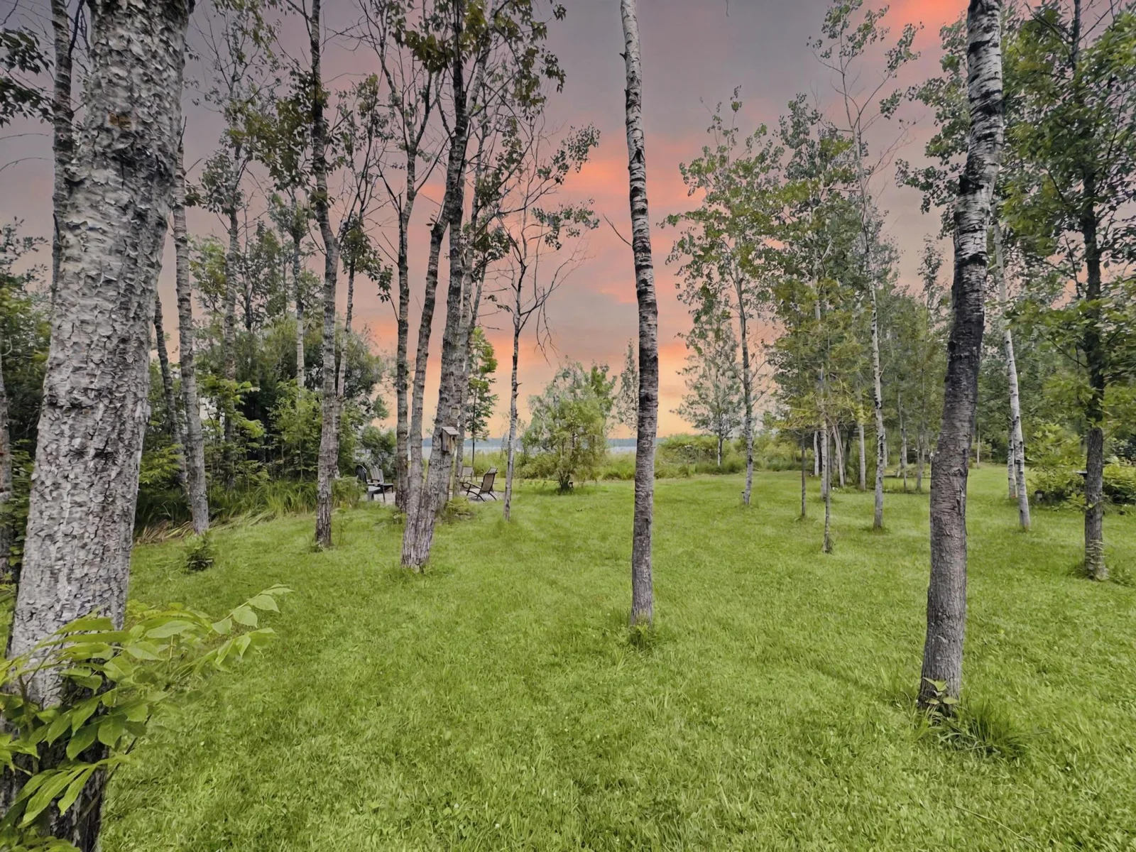 Spacious Back yard