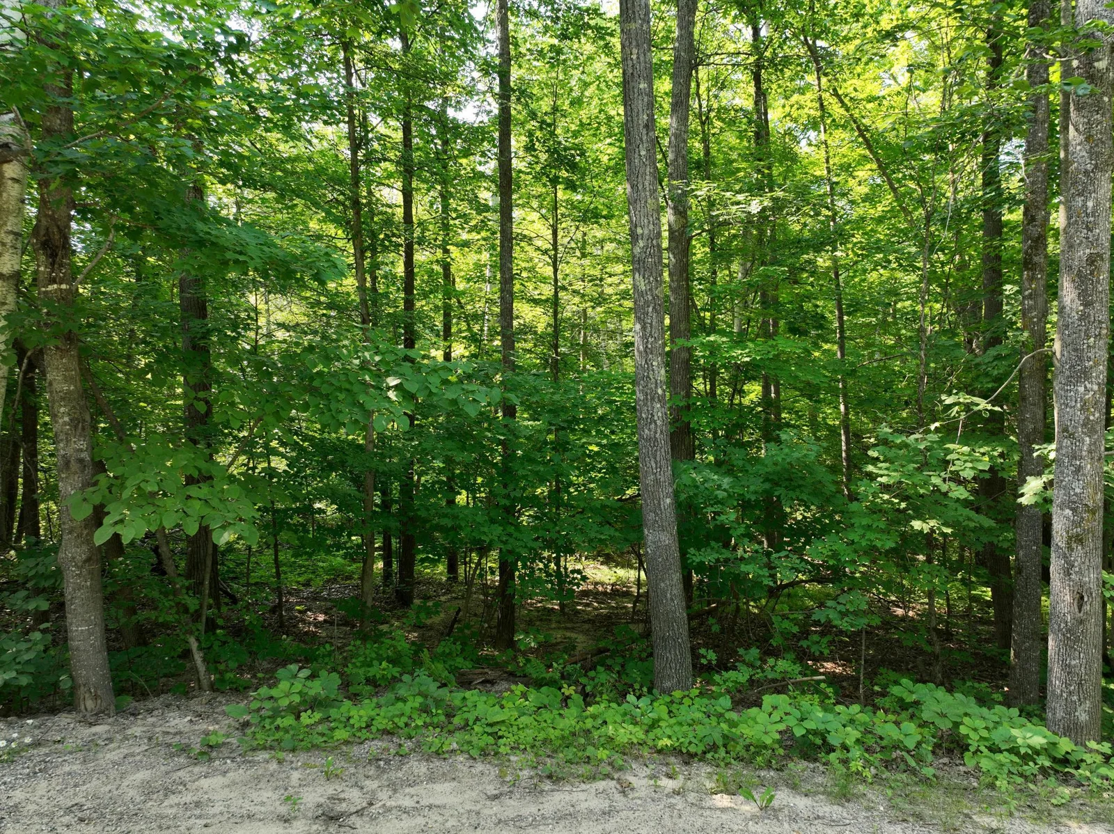Thumbnail photo 5