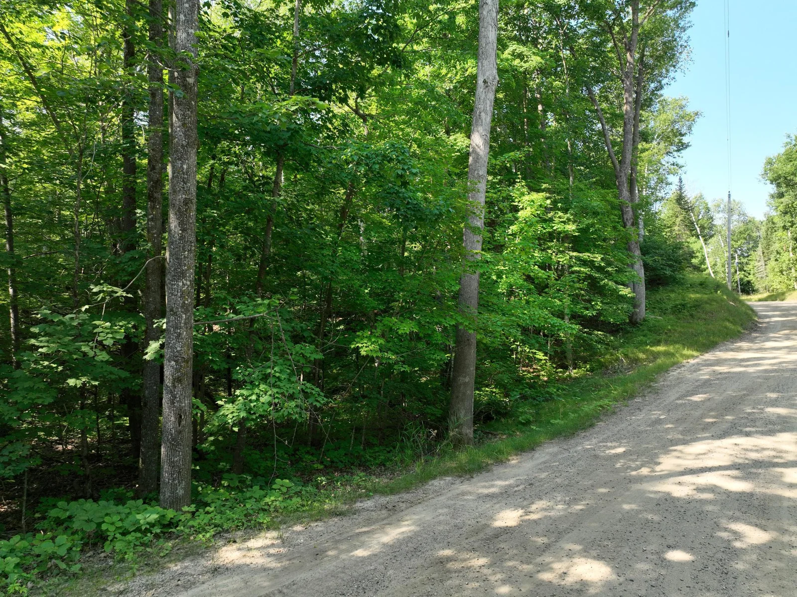 Thumbnail photo 6