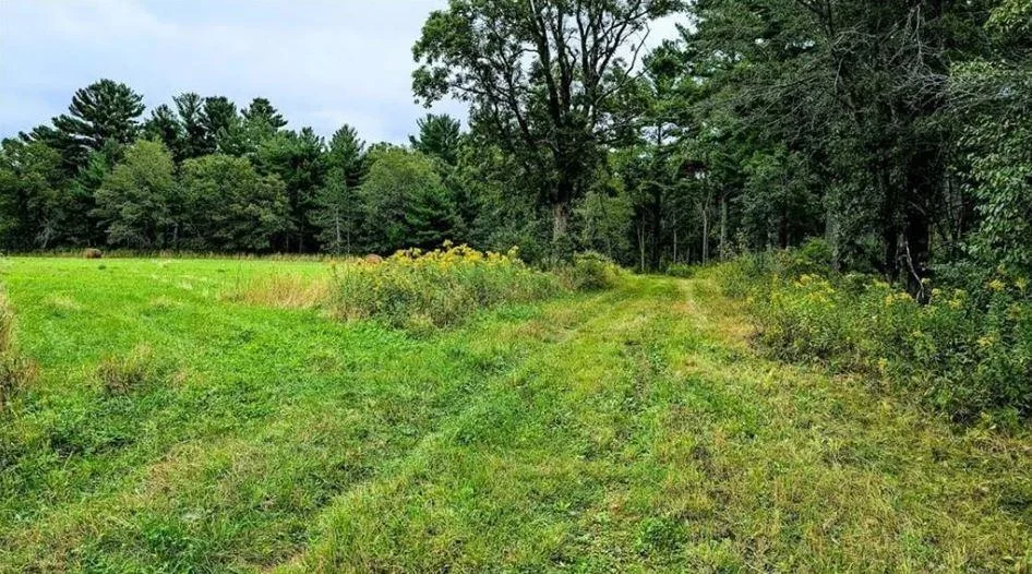 Property Entrance near campsite.JPG
