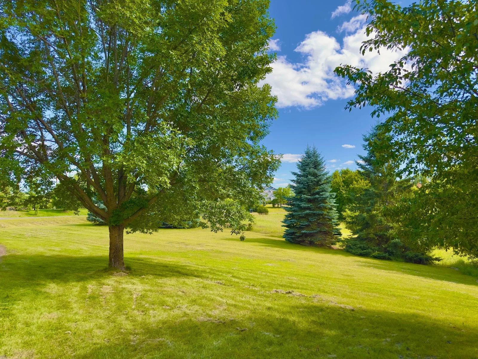 Sprawling and flat yard.