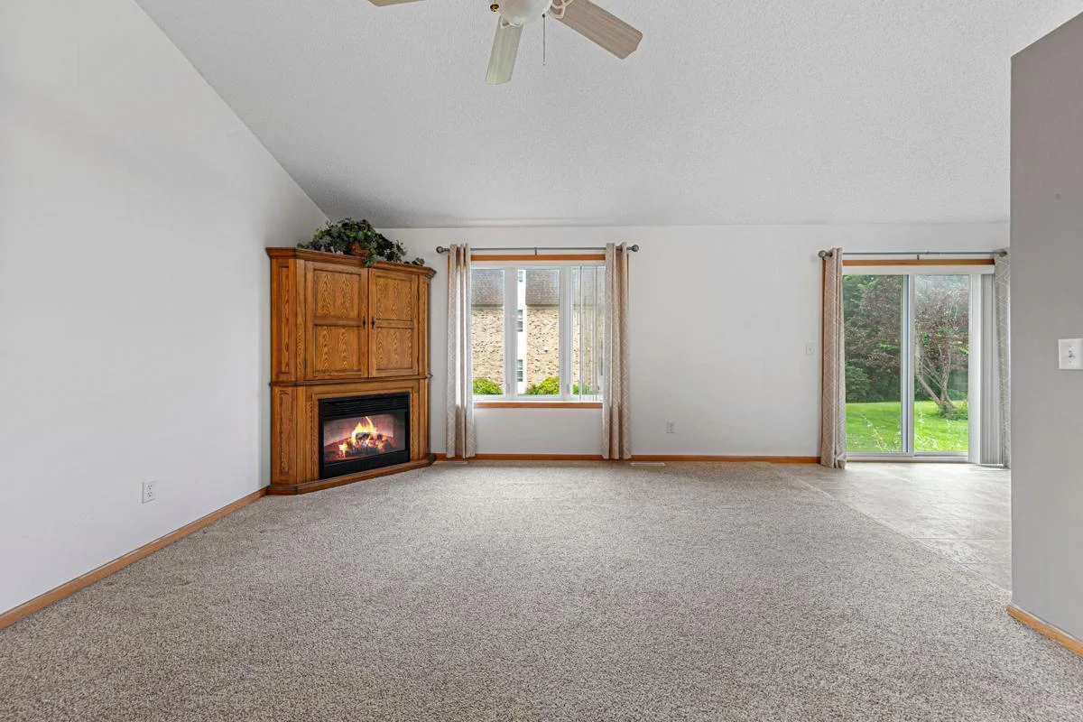 Electric Fireplace