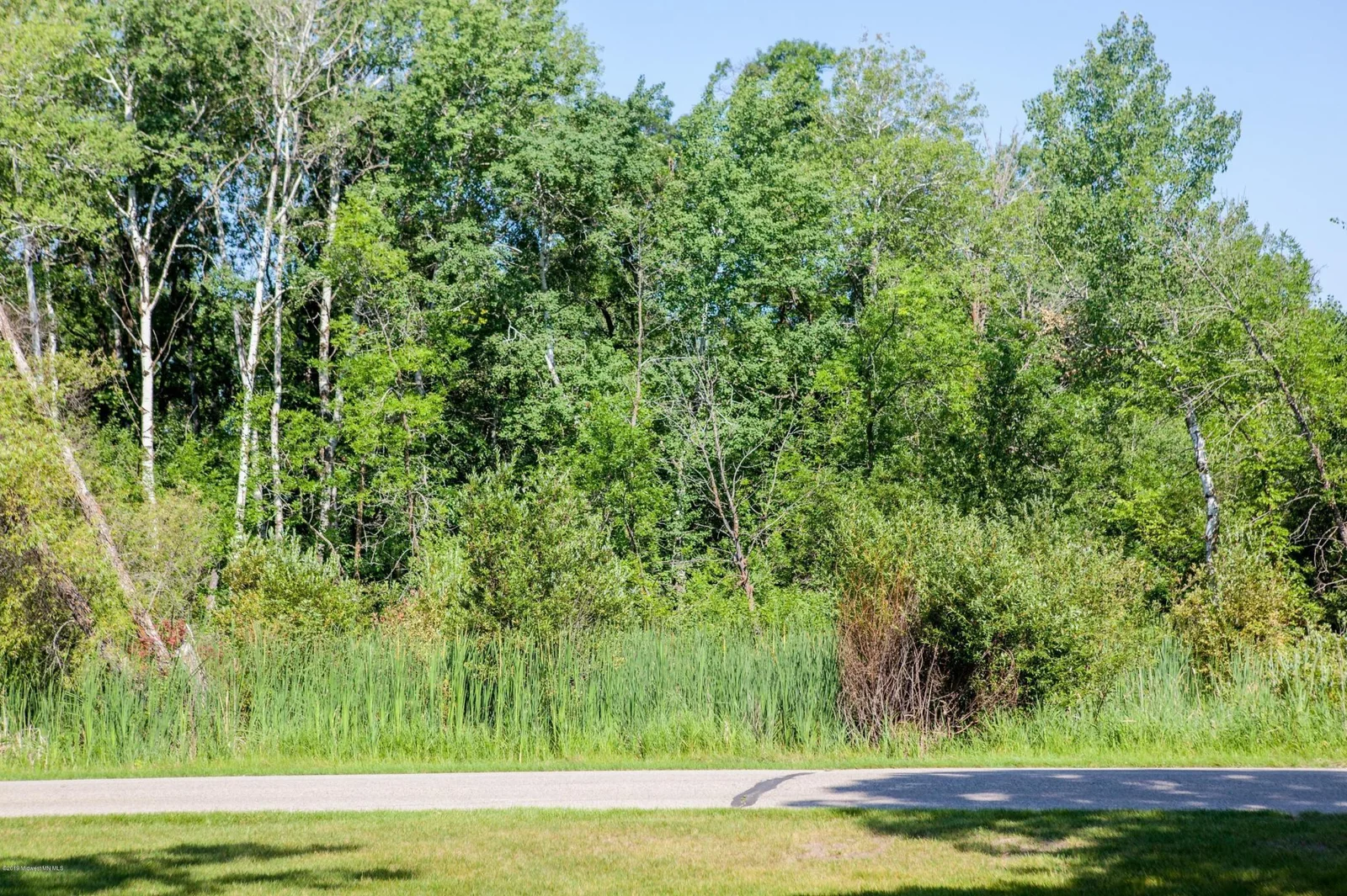 hr6208785-16542918505959.jpg