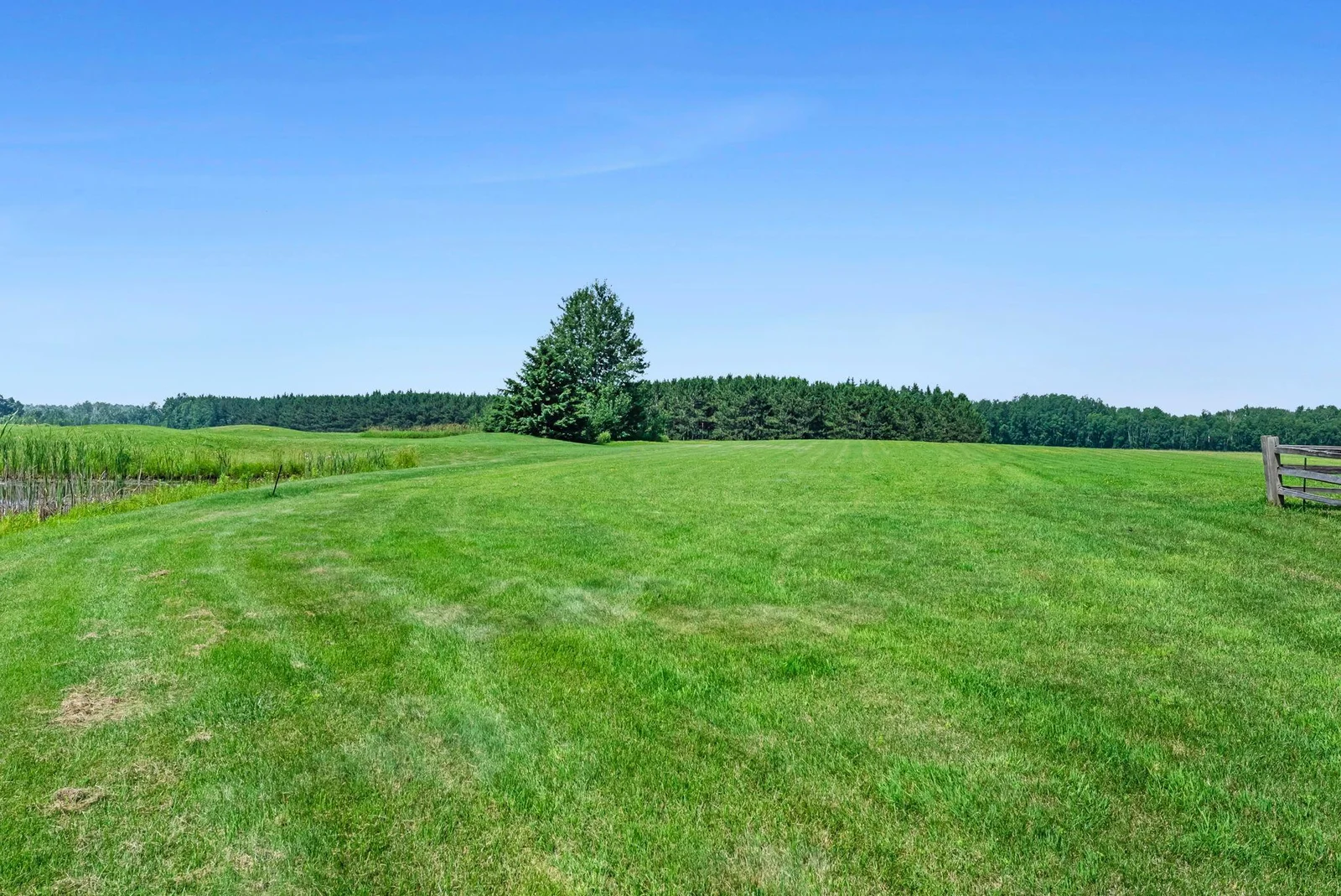 Gorgeous views from the back deck.