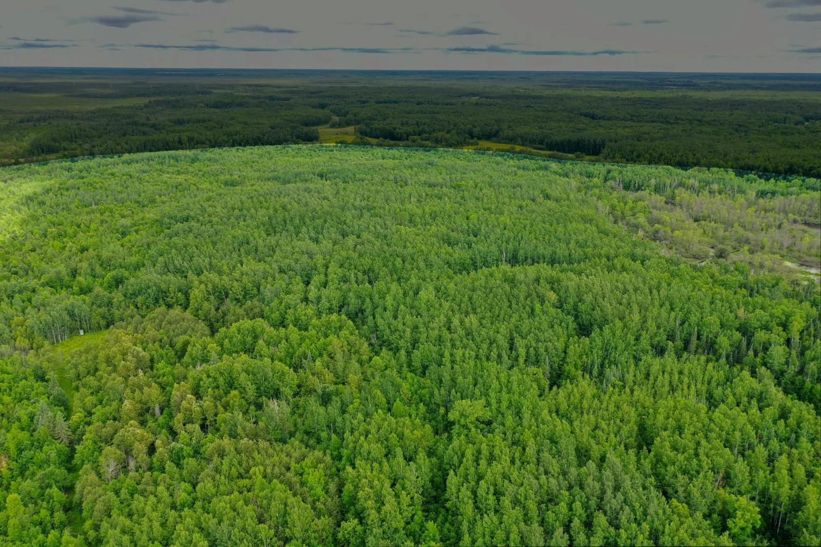 DJI_0611-Edit.jpeg