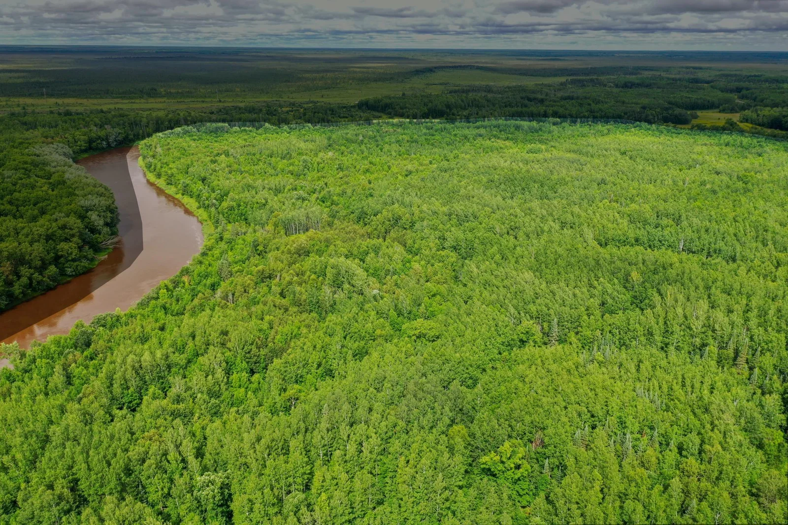 DJI_0621-Edit.jpeg