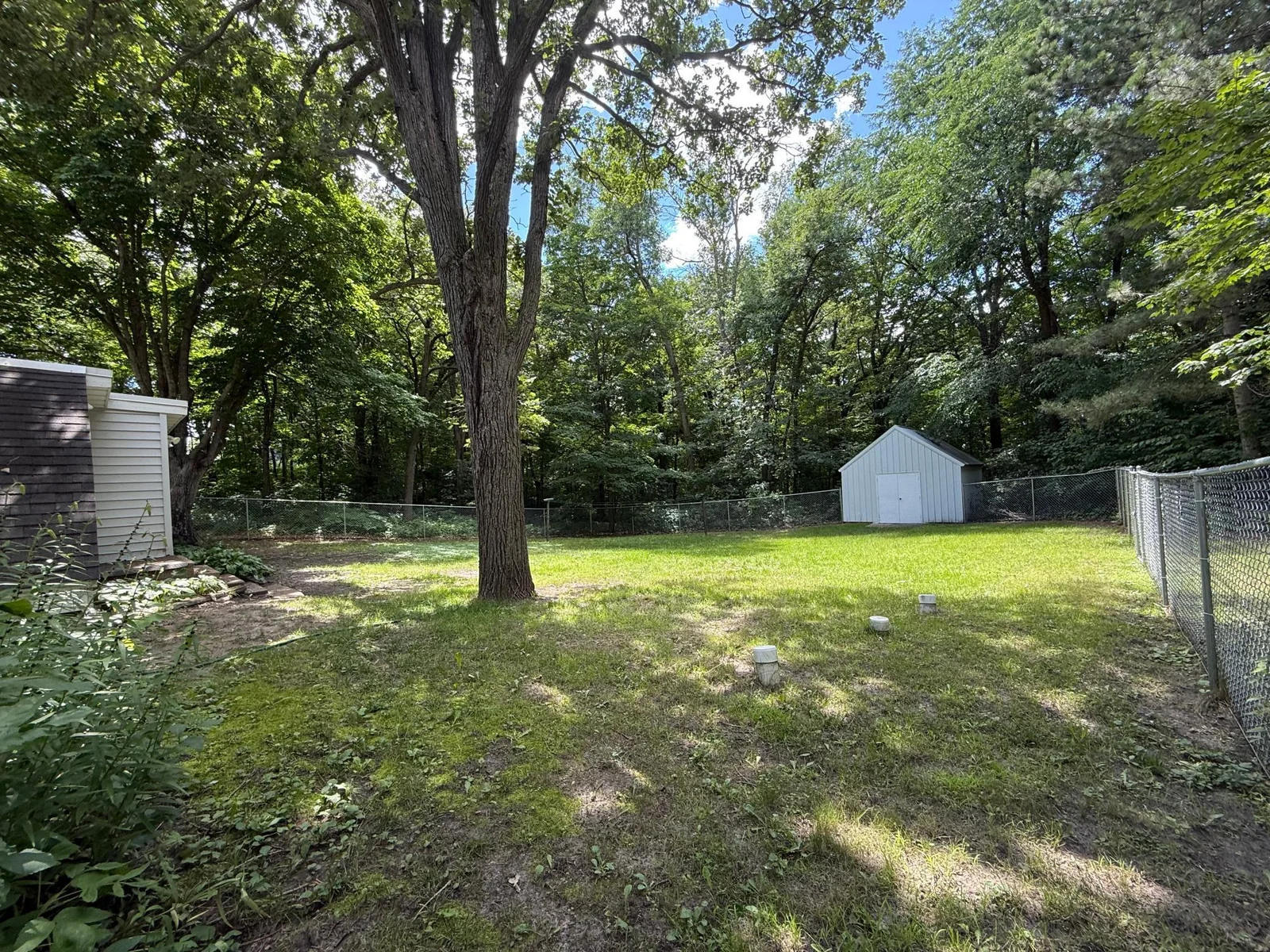 Fenced in Backyard