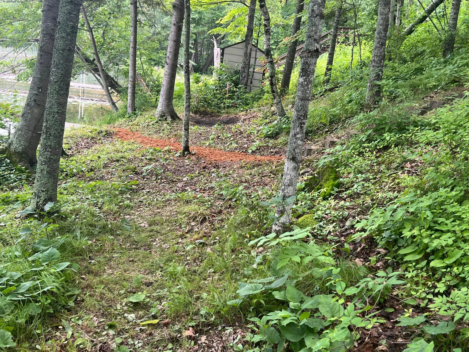 THIS IS THE FLAT SHADED AREA AT THE WATERS EDGE WHERE YOU CAN SET UP YOUR PICNIC AREA.