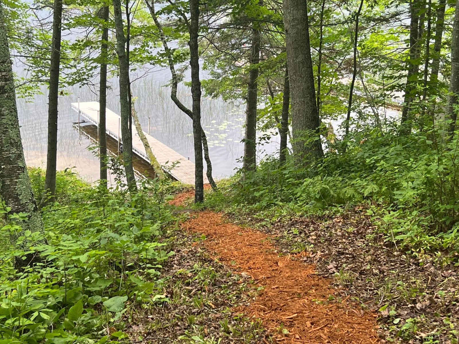 THE VIEW FROM THE TOP OF THE PATH.