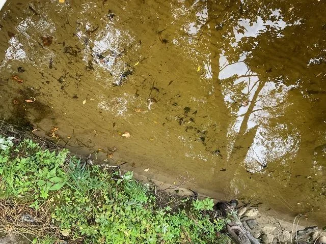 ANOTHER VIEW OF THE HARD SAND LAKE BOTTOM THAT EVERYONE WISHES THEY HAD !