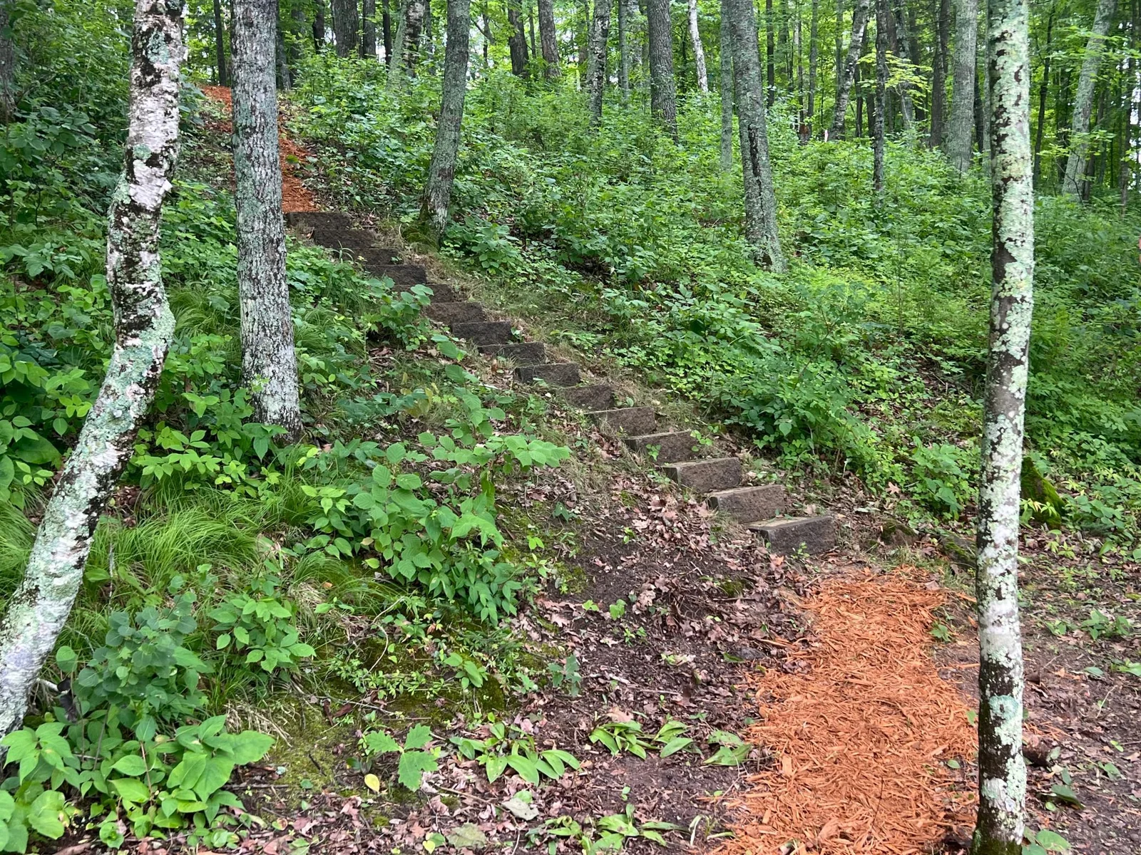 A VIEW OF THE STEPS.