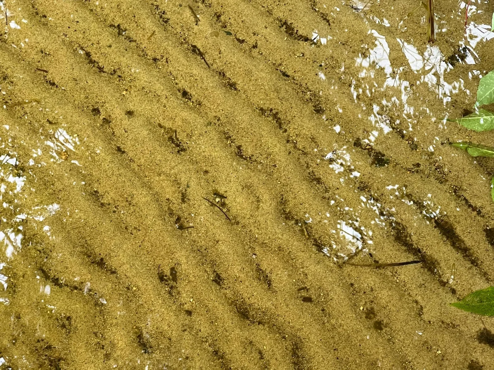 THE CRYSTAL CLEAR WATERS OF STARK LAKE AWAIT YOU !