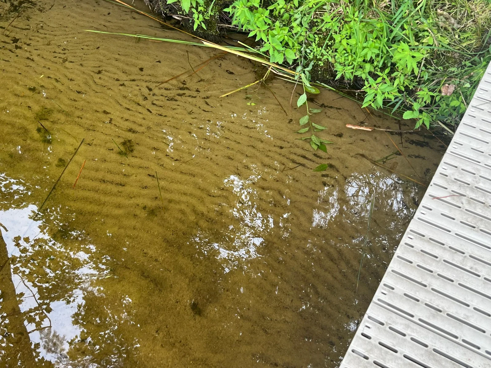 EVERY INCH OF SHORELINE OF THIS PARCEL ENJOYS A HARD SAND LAKE BOTTOM.