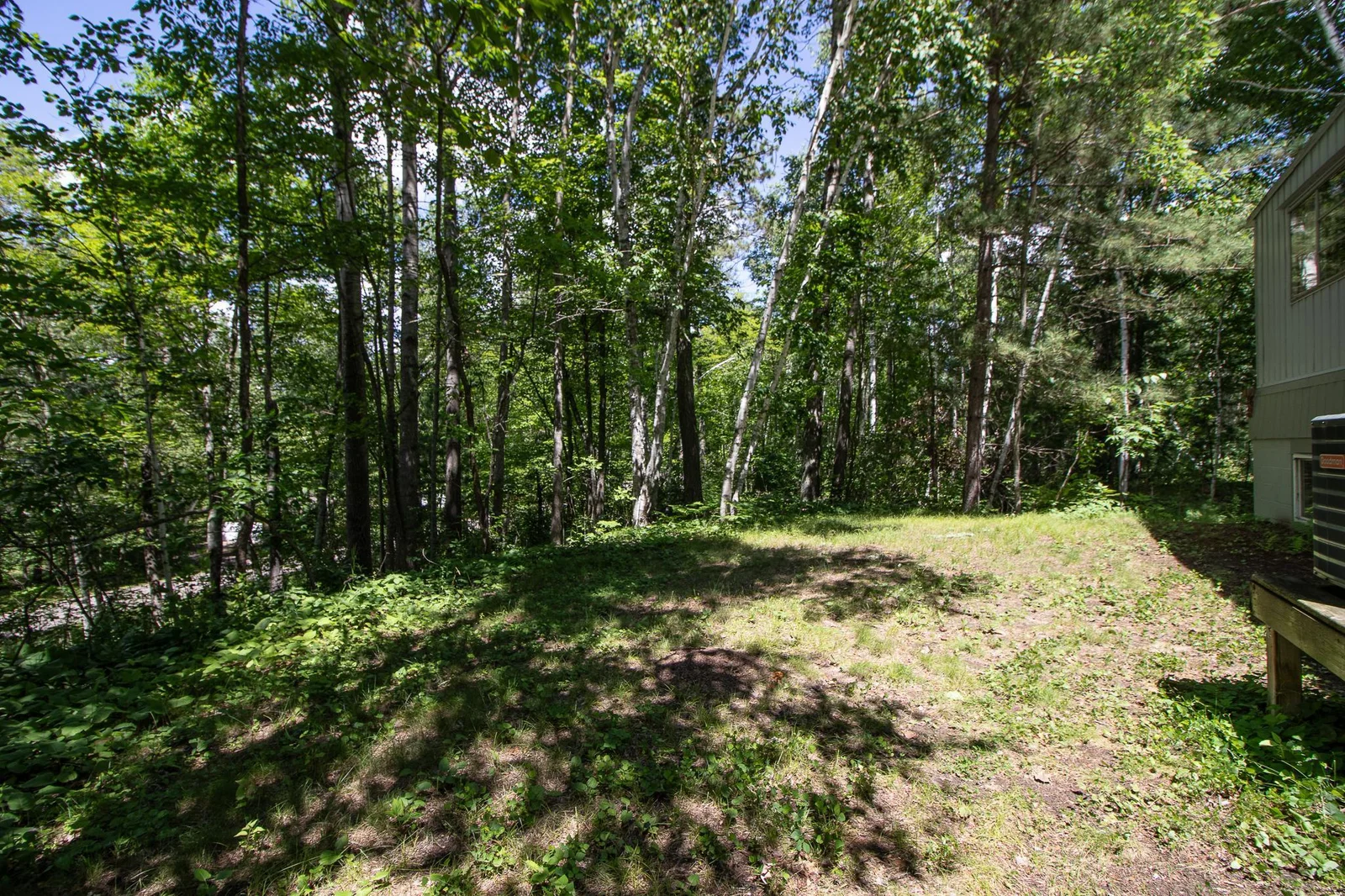Beautifully wooded