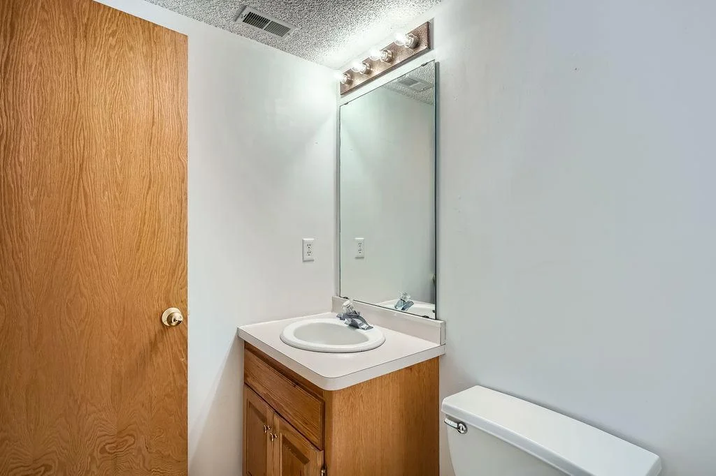 Lower Level Bathroom