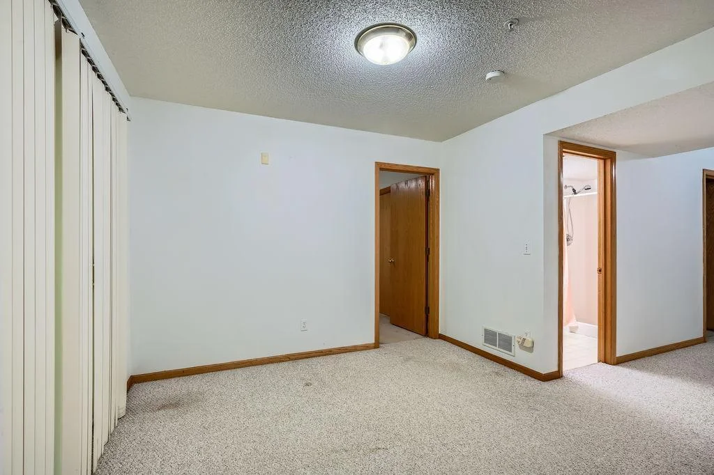 Lower Level Family Room