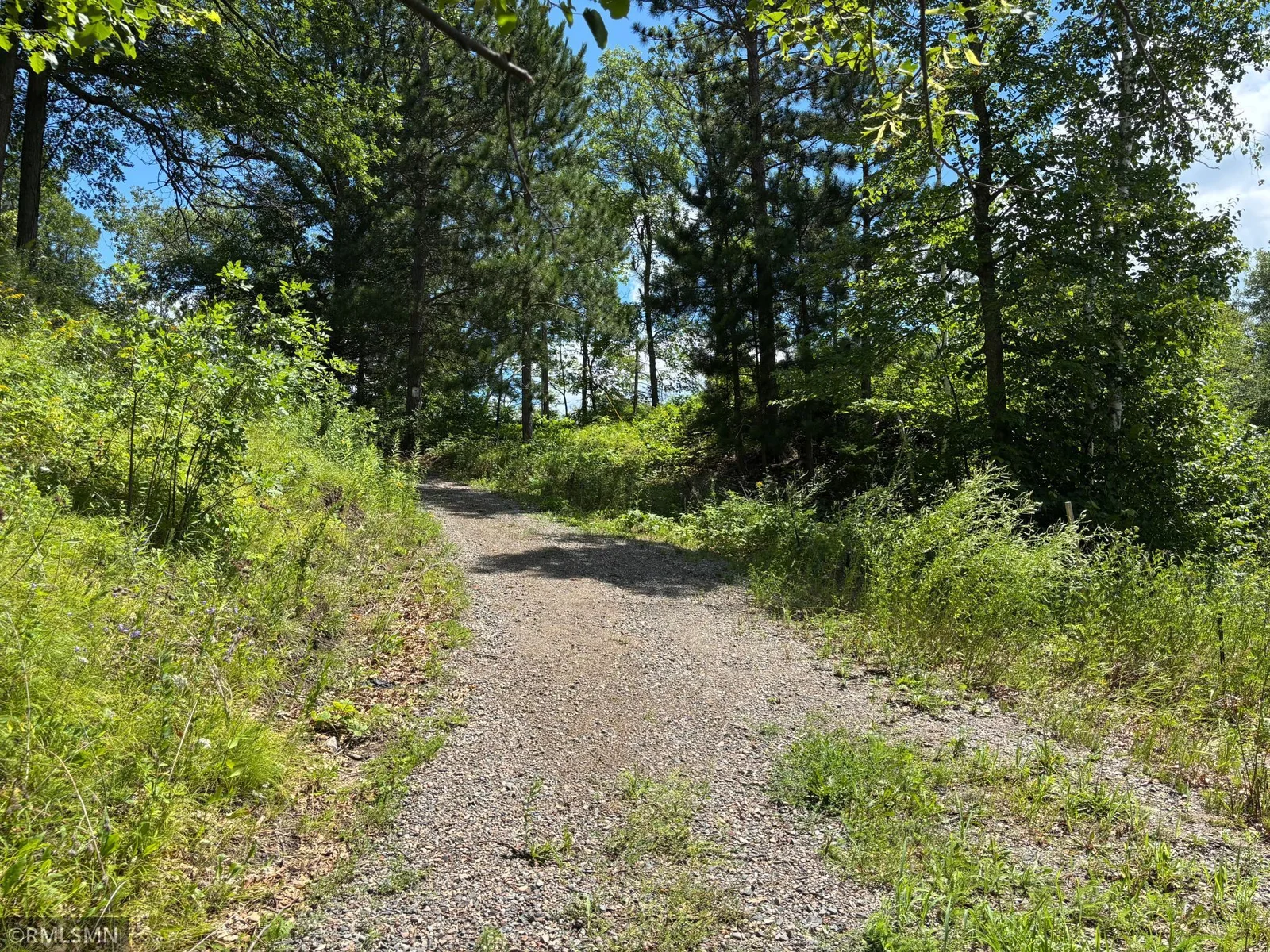 Trail down to the river.