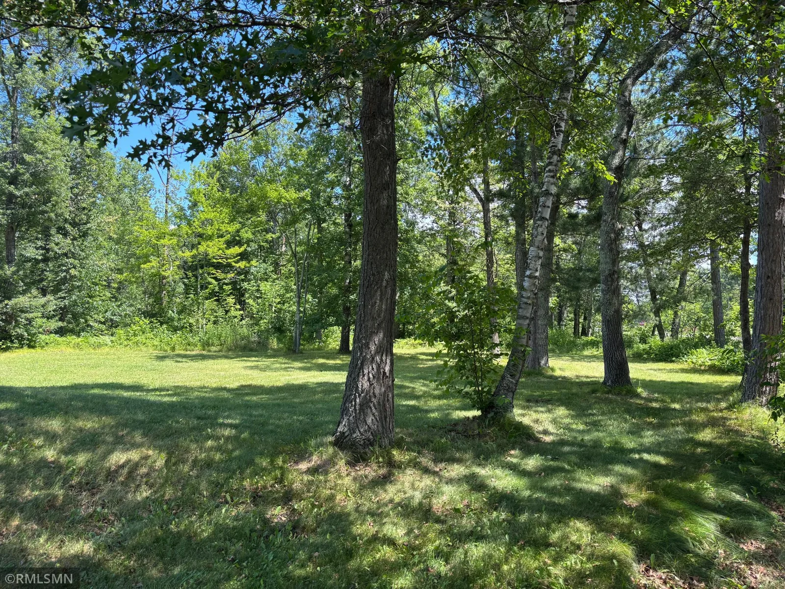 Another view of the back yard.