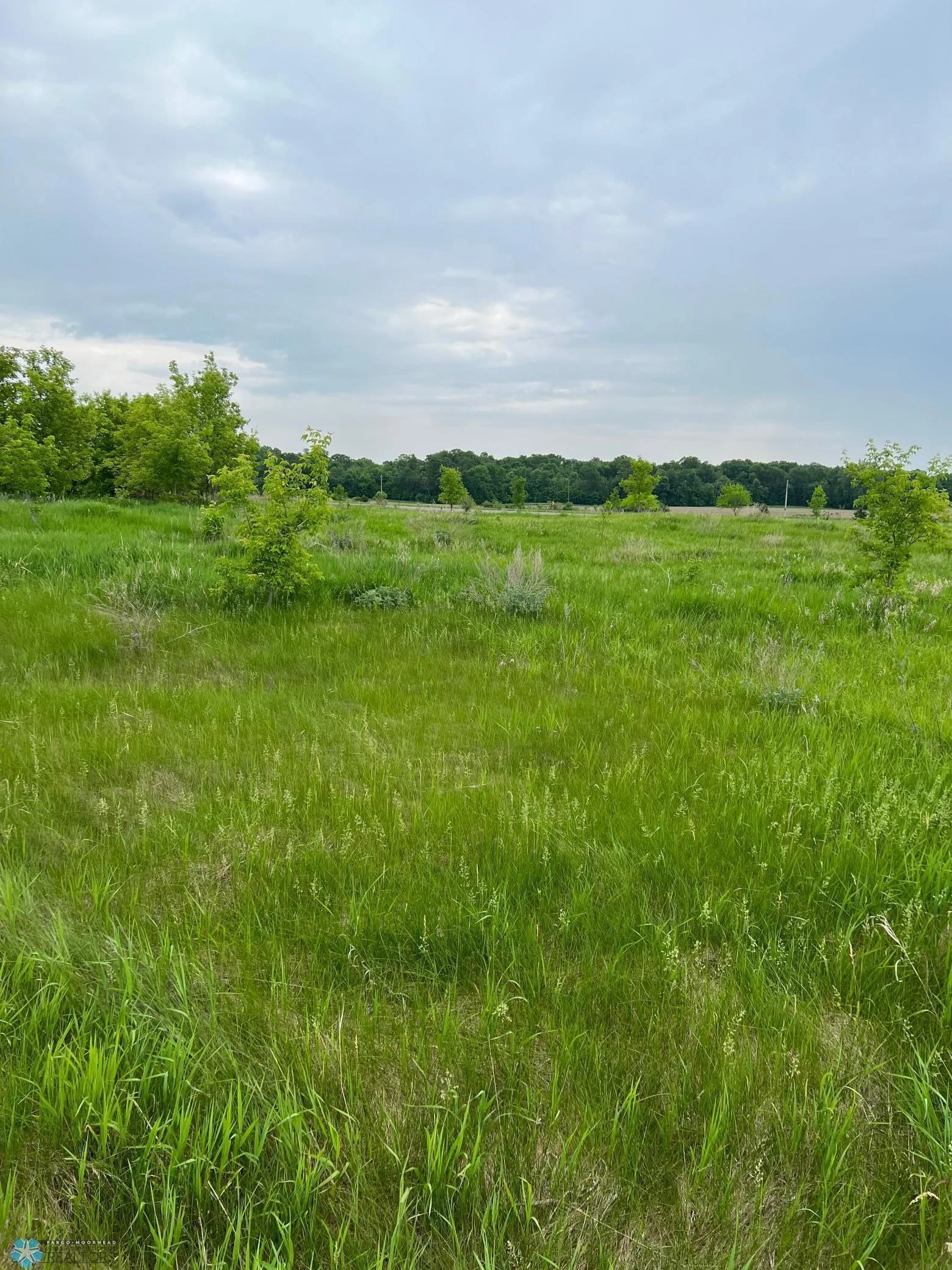 Land.pict.jpg
